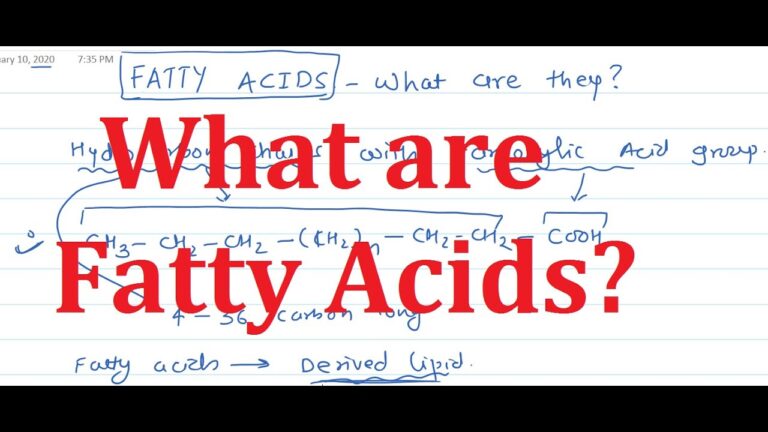 Top 10 Fatty Acid Formulas for Optimum Health: A Comprehensive Guide