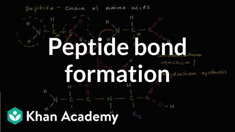 Unlocking the Science Behind Peptide Linkages: Everything You Need to Know