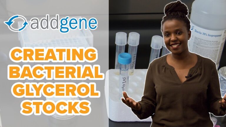 The Ultimate Guide to Glycerol Stock: Preparation, Storage, and Thawing
